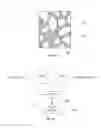 Fig. 04 - METHOD FOR 3-D PRINTING A CUSTOM BONE GRAFT