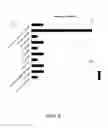 Fig. 07 - SYSTEMS AND METHODS FOR GRAPHICALLY CONVEYING INFORMATION