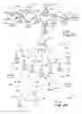 Fig. 04 - SOCIAL FILES