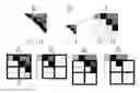 Fig. 01 - Image processing system for downscaling images using perceptual downscaling method