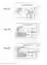 Fig. 09 - Displaying representative images in a visual mapping system
