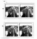 Fig. 01 - Self-calibration of a static camera from vehicle information