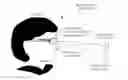 Fig. 01 - Scene analysis for improved eye tracking