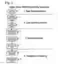 Fig. 02 - Magic Music Method