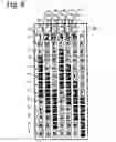 Fig. 09 - Magic Music Method