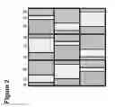 Fig. 03 - Pixel layout and display with varying area and/or luminance capability of same type sub-pixels in different composite pixels