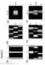 Fig. 08 - Pixel layout and display with varying area and/or luminance capability of same type sub-pixels in different composite pixels