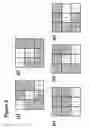 Fig. 09 - Pixel layout and display with varying area and/or luminance capability of same type sub-pixels in different composite pixels