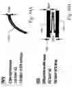 Fig. 48 - Calibrated device and method to detect material features on a spinning surface by generation and detection of gravito-magnetic energy
