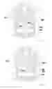 Fig. 05 - Swivel actuating pressure switch