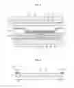 Fig. 04 - Adhesive composition and display device