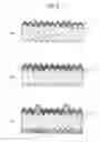 Fig. 06 - MANUFACTURING METHOD OF SOLAR CELL AND SOLAR CELL