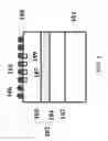 Fig. 04 - Light emitting diode chip and fabrication method
