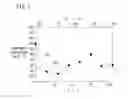 Fig. 08 - Film forming apparatus including a sprayer port and exhaust port on a supply pipe