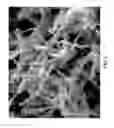 Fig. 06 - LITHIUM-ION BATTERIES WITH NANOSTRUCTURED ELECTRODES AND ASSOCIATED METHODS OF MAKING