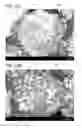 Fig. 14 - Negative electrode for power storage device and power storage device