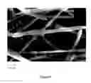 Fig. 09 - Silicon-embedded copper nanostructure network for high energy storage