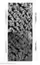 Fig. 09 - Fabrication of three-dimensional porous anode electrode