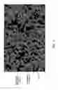 Fig. 03 - Fuel cell
