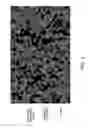 Fig. 04 - Fuel cell