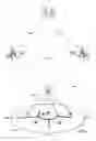 Fig. 02 - Methods circuits devices assemblies and systems for wireless communication