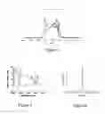 Fig. 05 - Single pass amplification of dissipative soliton-like seed pulses