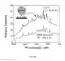 Fig. 19 - Injection-seeded whispering gallery mode optical amplifier devices and networks