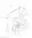 Fig. 01 - Rapidly tunable laser assembly