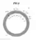 Fig. 11 - STATOR FOR ELECTRIC ROTARY MACHINE