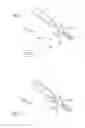 Fig. 02 - Laser communications following an atmospheric event