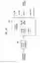 Fig. 11 - Apparatus for transmitting broadcast signals, apparatus for receiving broadcast signals, method for transmitting broadcast signals and method for receiving broadcast signals