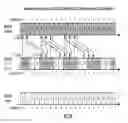 Fig. 12 - Data transmission in carrier aggregation with different carrier configurations