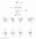 Fig. 01 - Distributed object routing
