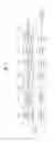Fig. 09 - Apparatus for transmitting broadcast signals, apparatus for receiving broadcast signals, method for transmitting broadcast signals and method for receiving broadcast signals