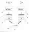 Fig. 06 - Transparent auto-negotiation of Ethernet
