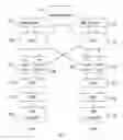 Fig. 08 - Transparent auto-negotiation of Ethernet