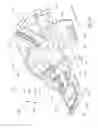 Fig. 33 - Optical accessory for attachment to mobile device