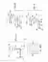 Fig. 42 - Optical accessory for attachment to mobile device