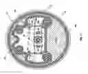 Fig. 14 - Self-leveling camera heads