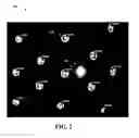 Fig. 03 - Dual-mode illuminator for imaging under different lighting conditions