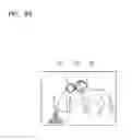Fig. 10 - Image capturing apparatus with autofocus and method of operating the same