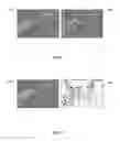 Fig. 07 - Encoding and decoding selectively retrievable representations of video content