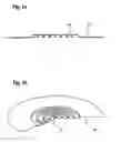 Fig. 02 - MEMS component including a sound-pressure-sensitive diaphragm element and piezosensitive signal detection