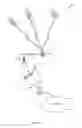 Fig. 02 - Method and system for providing enhanced location based trilateration
