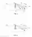 Fig. 03 - BEAM DETECTION AND TRACKING IN WIRELESS NETWORKS