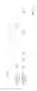 Fig. 06 - Dynamic time division duplex mechanism for small cell network