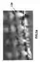 Fig. 08 - MEMS film for semiconductor device test socket including MEMS bump