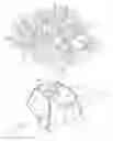 Fig. 01 - PLANT PROTECTION AND WATER SAVING DEVICE