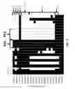 Fig. 03 - Loci associated with charcoal rot drought complex tolerance in soybean