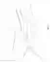 Fig. 02 - Integrated training collar and method of use